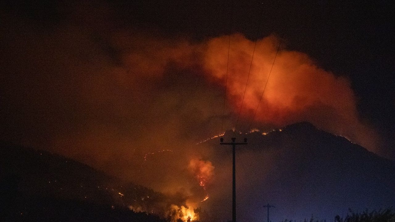 Sakarya'da Orman Yangını Sebebiyle İki Mahalle Tahliye Edildi