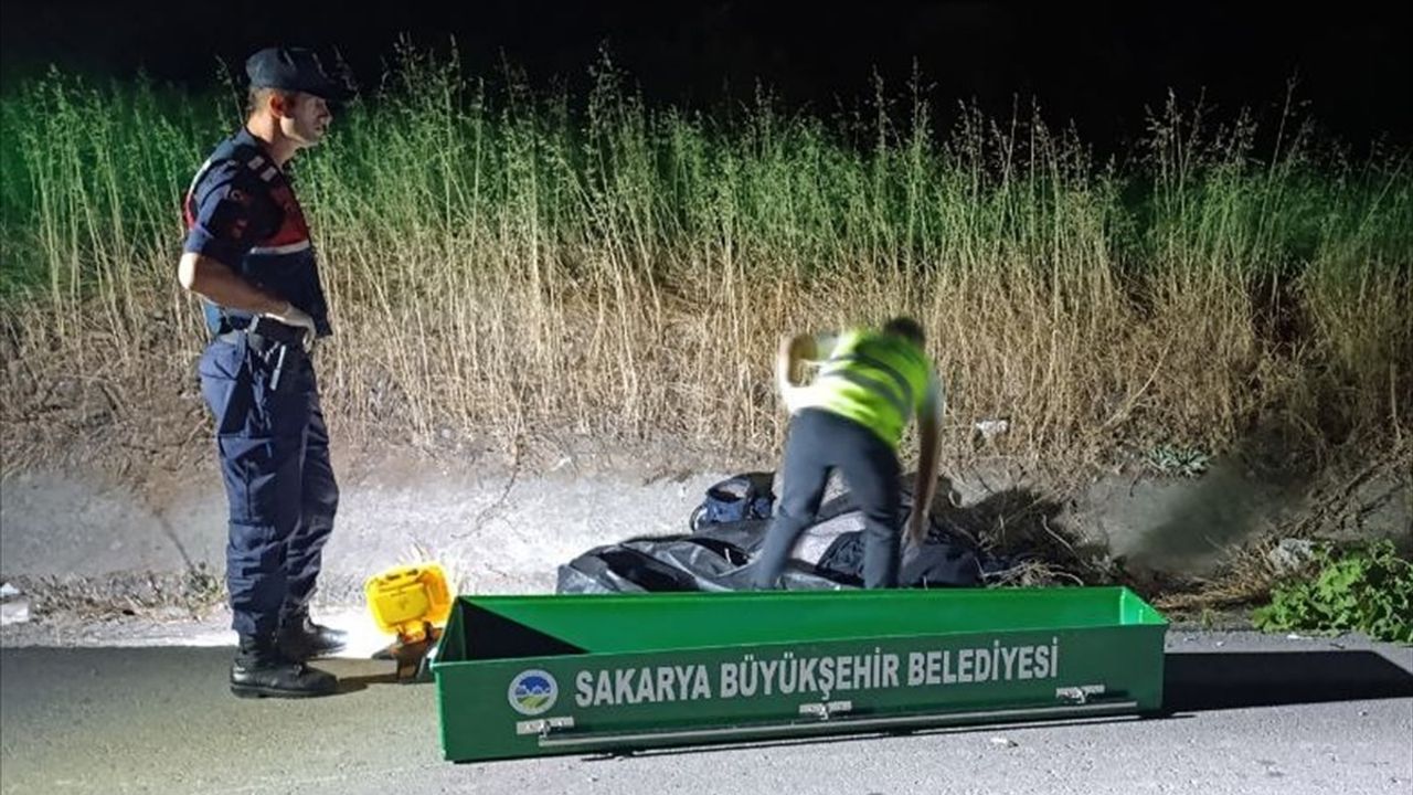 Sakarya'da Yolun Karşısına Geçmeye Çalışan Yaya Trafik Kazasında Hayatını Kaybetti