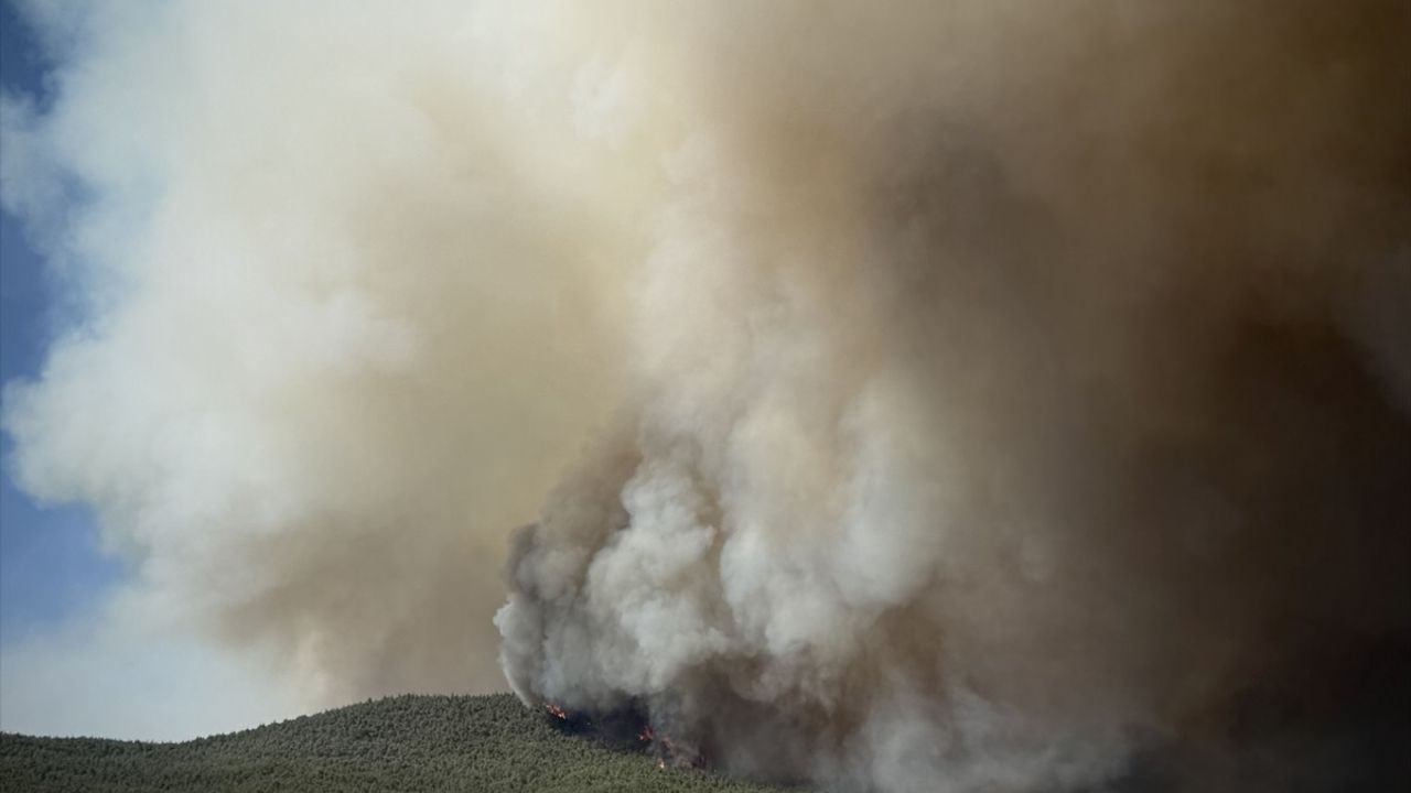 Sakarya'daki Orman Yangını Bilecik'e Sıçradı