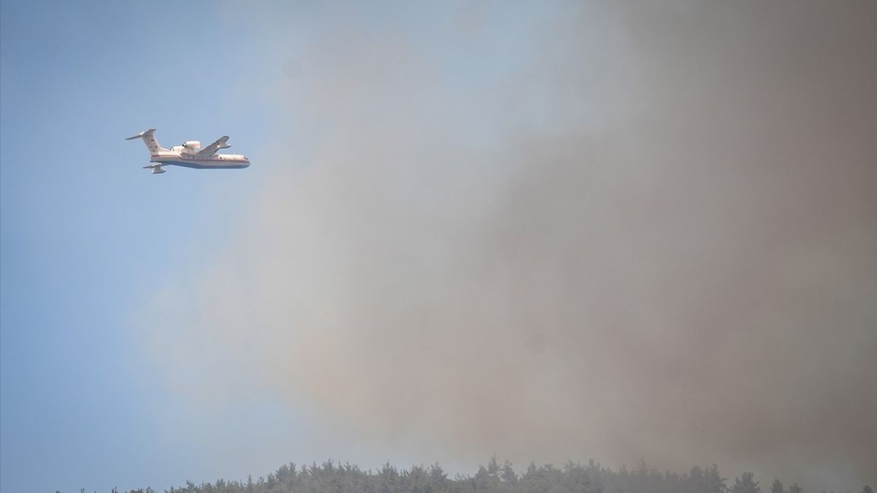 Sakarya'daki Orman Yangını Bilecik'e Yaklaşıyor: Tedbirler Alındı