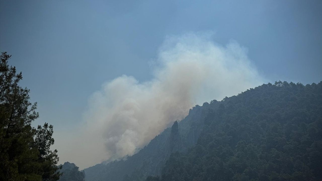 Sakarya'dan Bilecik'e Sıçrayan Orman Yangınına Müdahale Devam Ediyor