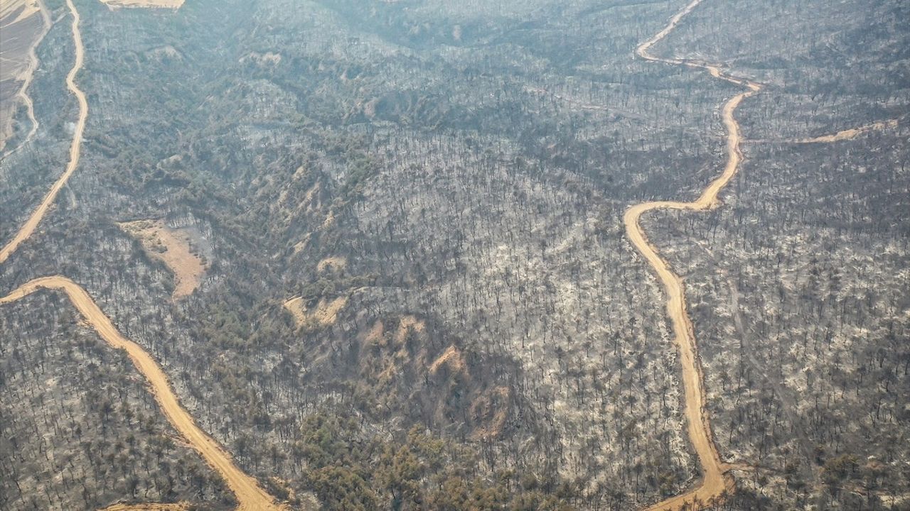 Sakarya'dan Bilecik'e Sıçrayan Orman Yangınına Müdahale Devam Ediyor