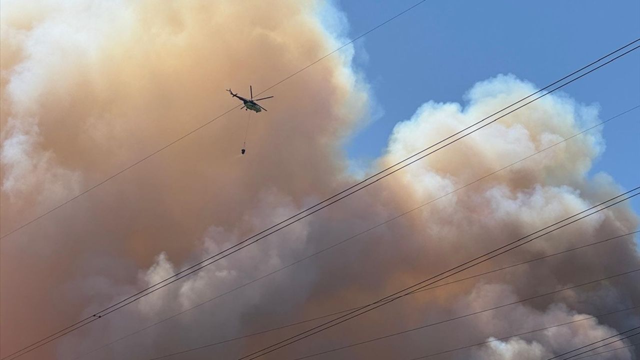 Sakarya Geyve'de Orman Yangını: Havadan ve Karadan Müdahale Devam Ediyor