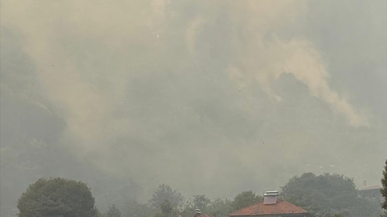 Sakarya Geyve'de Orman Yangınına Hava ve Karada Müdahale