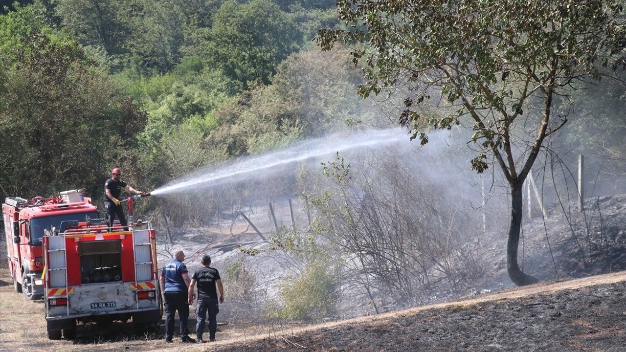 Sakarya'nın Adapazarı İlçesinde Orman Yangını Kontrol Altına Alındı