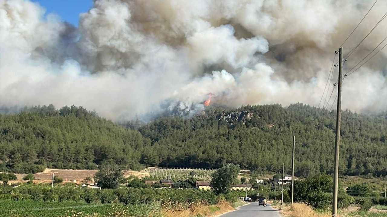 Sakarya'nın Geyve İlçesinde Orman Yangınına Müdahale Ediliyor