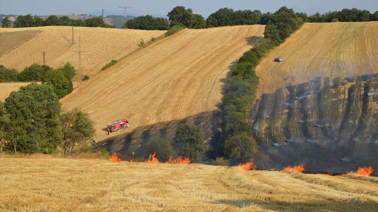 Samsun’da Anız Yangını: 50 Dekar Tarım Arazisi Hasar Gördü