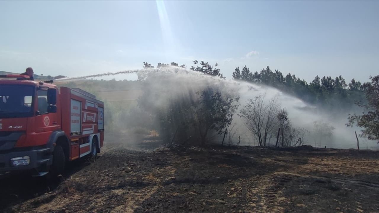 Samsun'da Ekili Arazide Yangın: 40 Dönüm Zarar Gördü