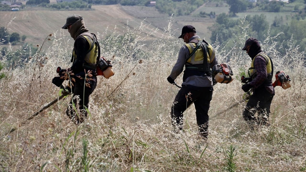 Samsun'da Ormanlık Alanlarda Yangın Riski İçin Doğa Temizliği Yapıldı