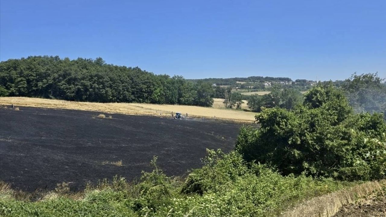 Samsun'da Tarım Arazisinde Yangın: 16 Dönüm Zarar Gördü