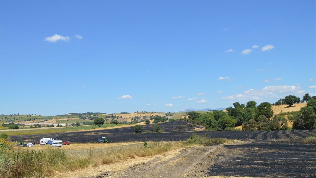 Samsun Havza'da Çıkan Yangında 100 Dekar Tarım Arazisi Zarar Gördü