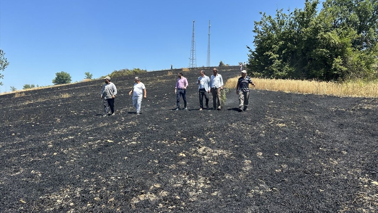 Samsun'un Alaçam İlçesinde Tarım Arazisi Yangında Zarar Gördü