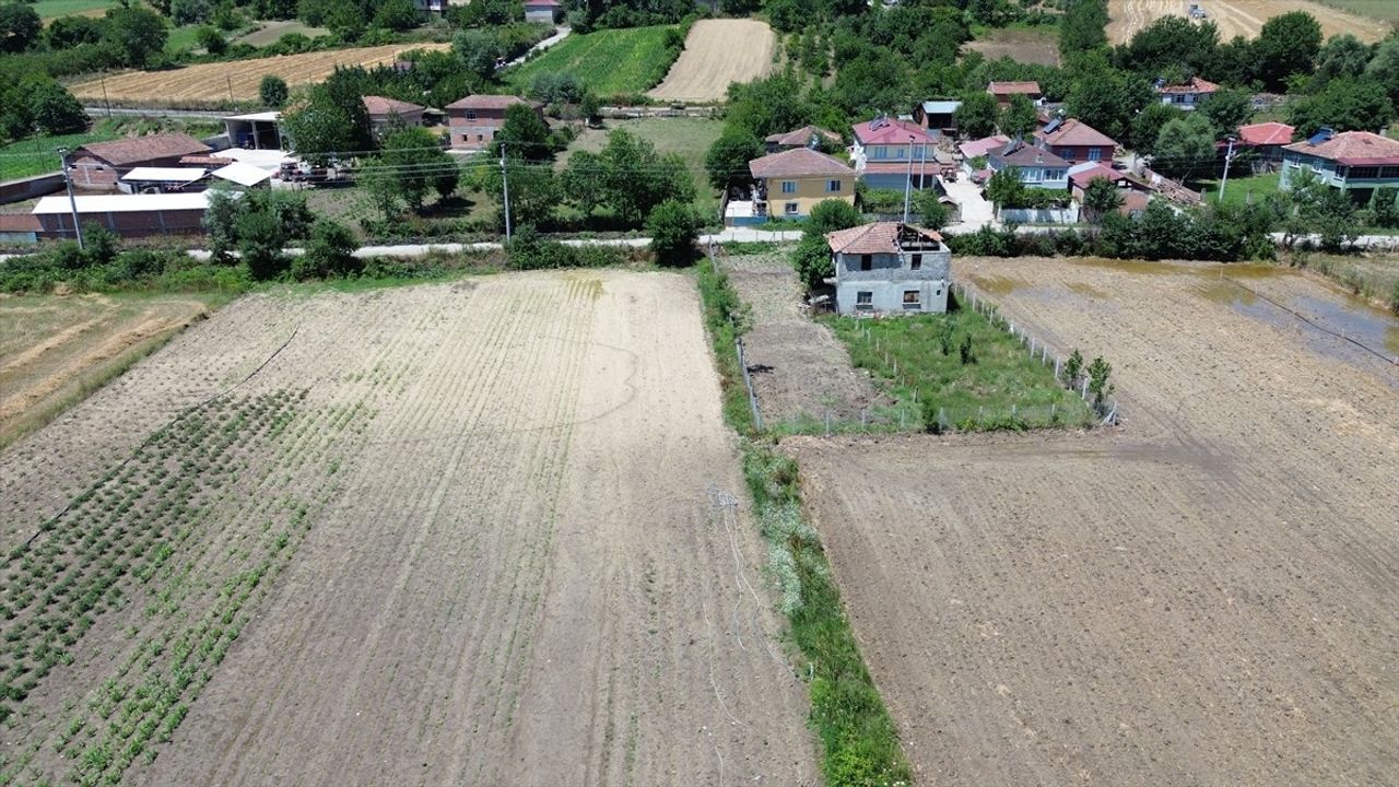 Samsun'un Bafra İlçesi'nde Su Taşkınları Tarım Arazilerini Vurdu