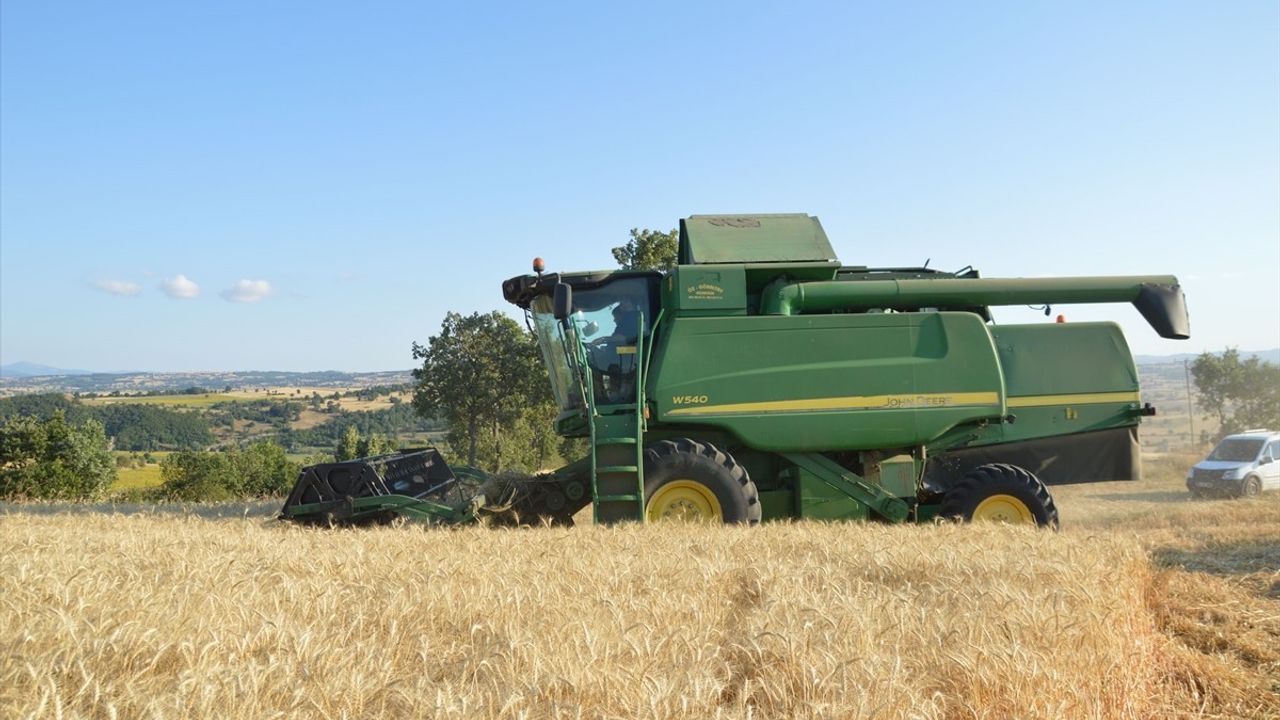 Samsun'un Havza İlçesinde Buğday Rekoltesi 90 Bin Ton Olarak Bekleniyor