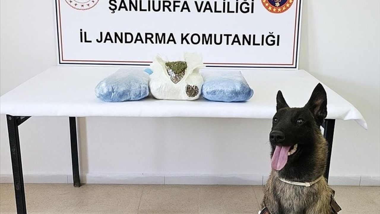 Şanlıurfa'da Uyuşturucu Operasyonu: 3 Şüpheli Gözaltına Alındı