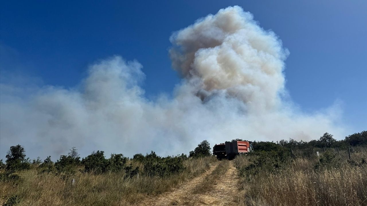 Silivri'de Ormanlık Alanda Yangın Çıktı