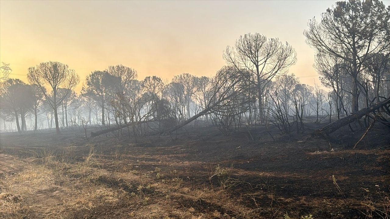 Silivri'de Ormanlık Alanda Yangın: Müdahale Sürüyor