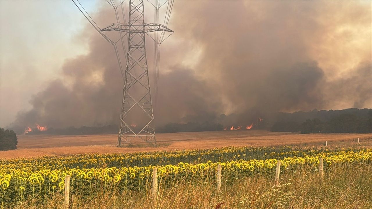 Silivri'deki Orman Yangınına Hava ve Kara Müdahale Devam Ediyor