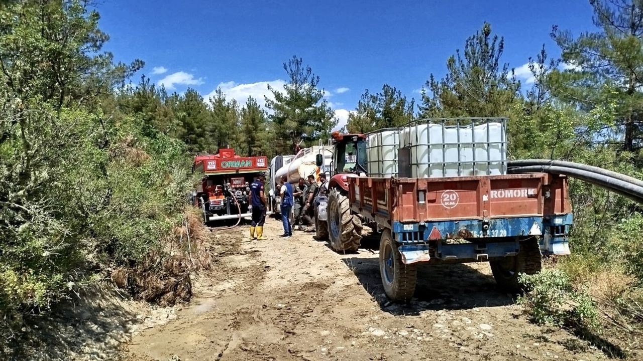 Sinop'ta Orman Yangını: 8 Dönüm Alan Zarar Gördü