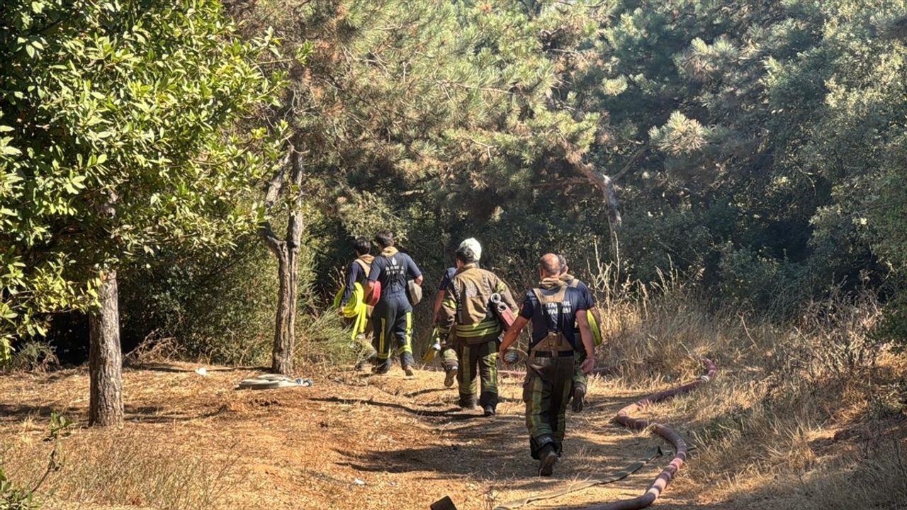 Sultangazi'de Hacı Bektaş-ı Veli Kent Ormanı'nda Yangın Çıktı