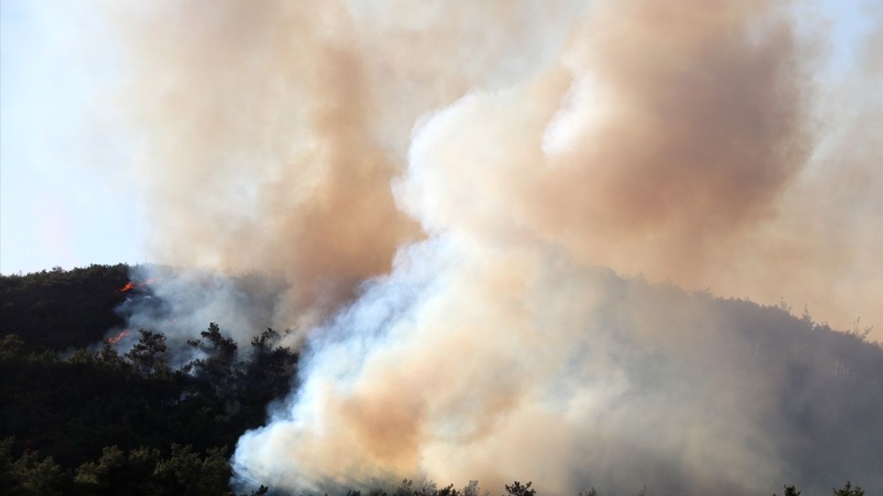 Suriye'nin Lazkiye Kentinde Orman Yangını Olan Köylerde Müdahale Başlatıldı