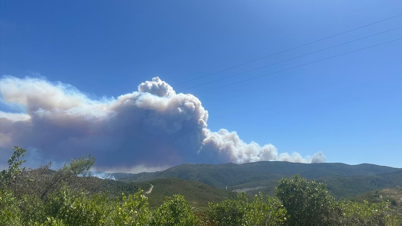 Suriye'nin Lazkiye Kentinde Orman Yangınları Kontrol Altına Alınmaya Çalışılıyor