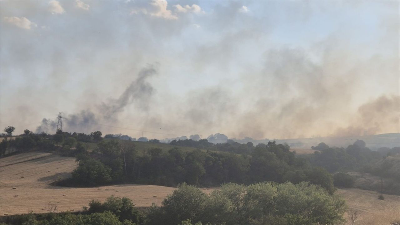 Tekirdağ'da Anız Yangını 60 Dekar Alanı Tahrip Etti