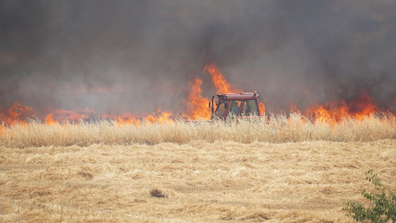 Tekirdağ'da Buğday Tarlasında Çıkan Yangın Kontrol Altına Alındı