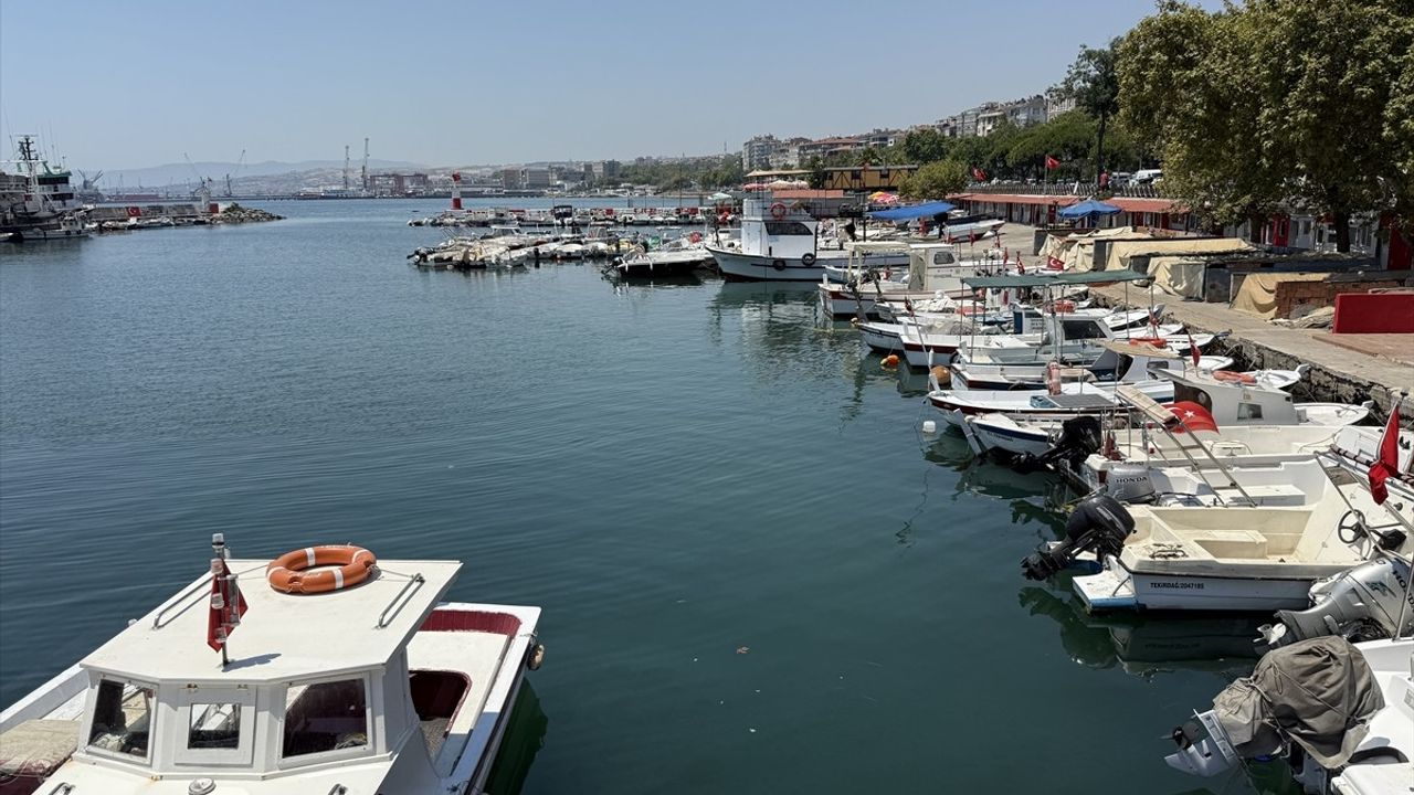 Tekirdağ'da İstavrit Satışları Artıyor