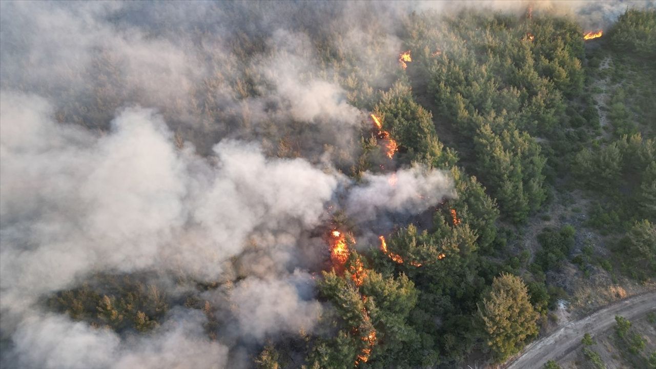 Tekirdağ'da Orman Yangını Büyüyor: 21 Hava Aracı Görevinin Başında