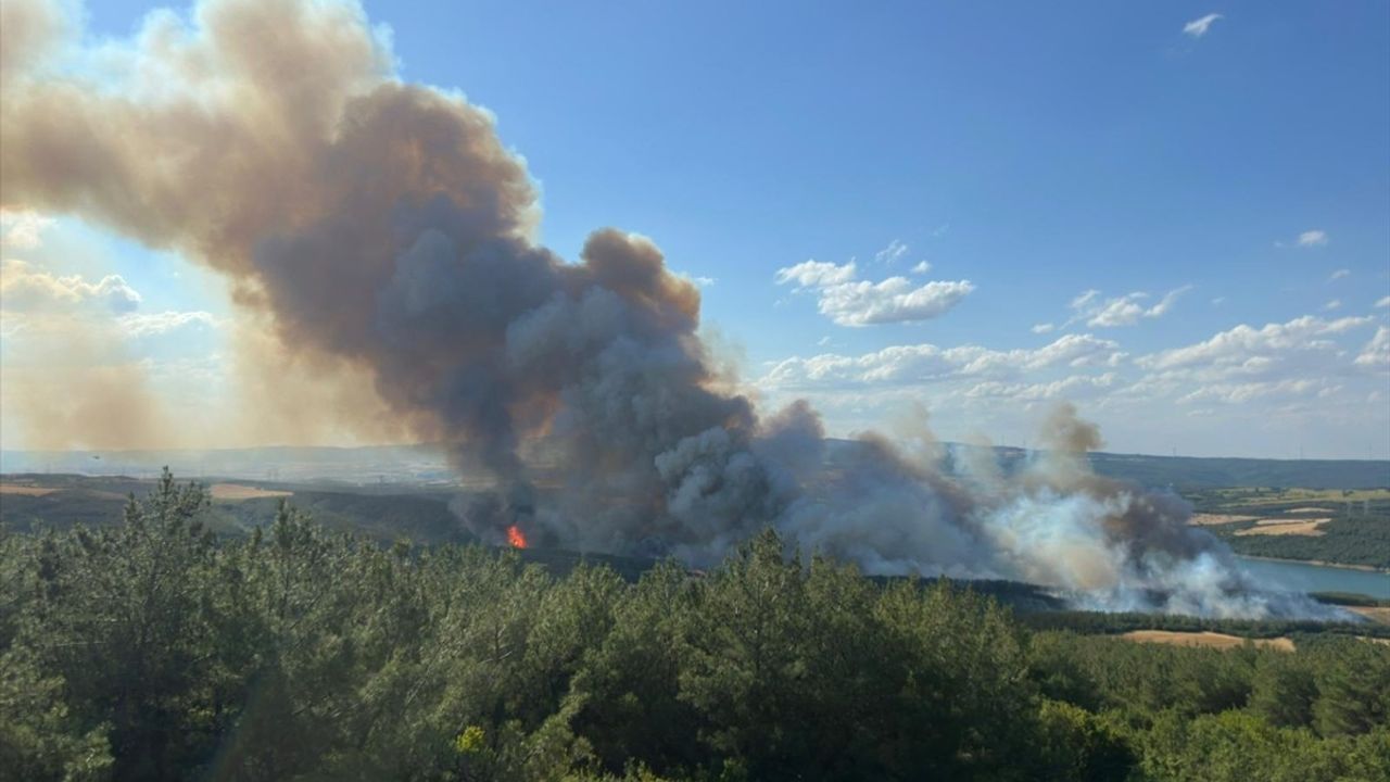 Tekirdağ'da Orman Yangınına Havadan ve Karadan Müdahale