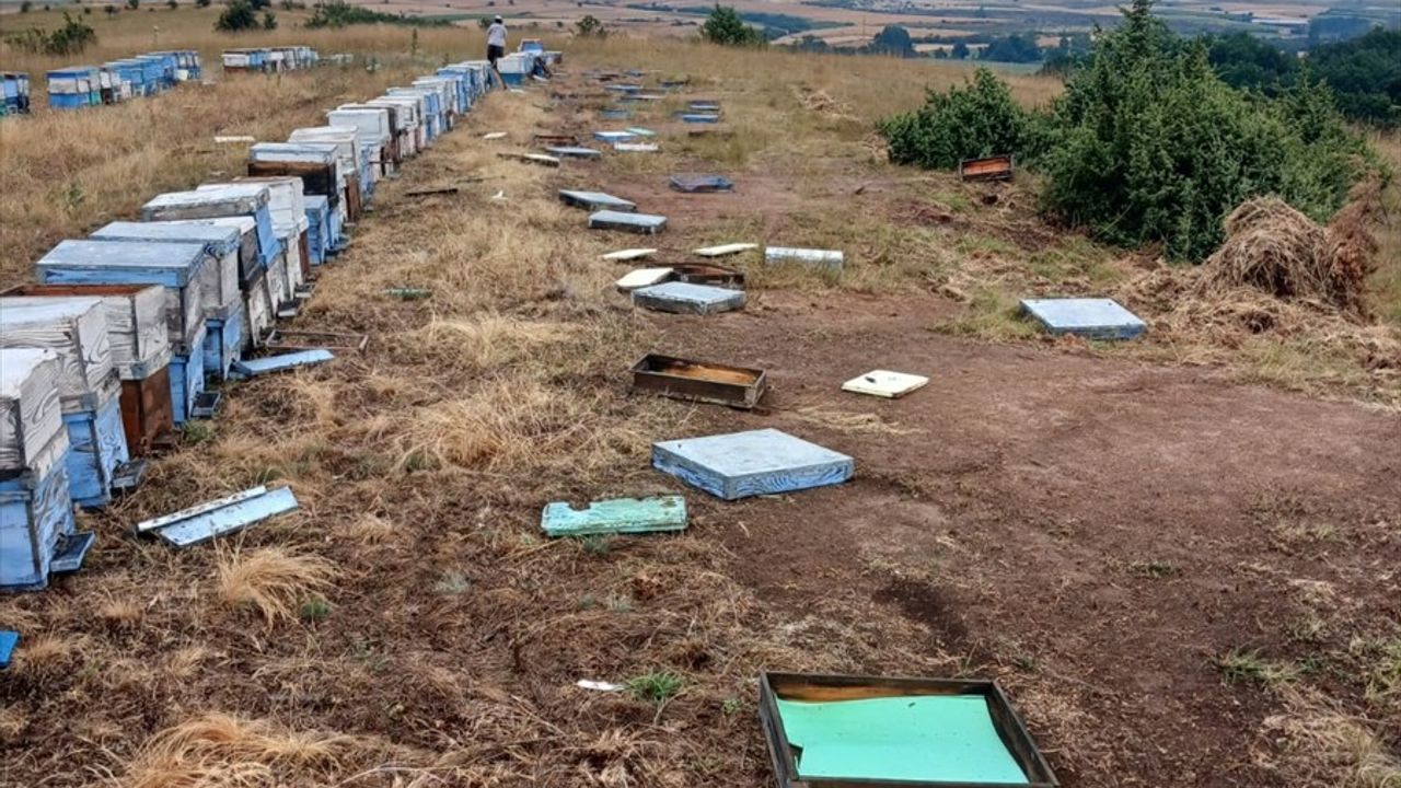 Tekirdağ'da Sağanak ve Dolu Tarım Alanlarına Zarar Verdi