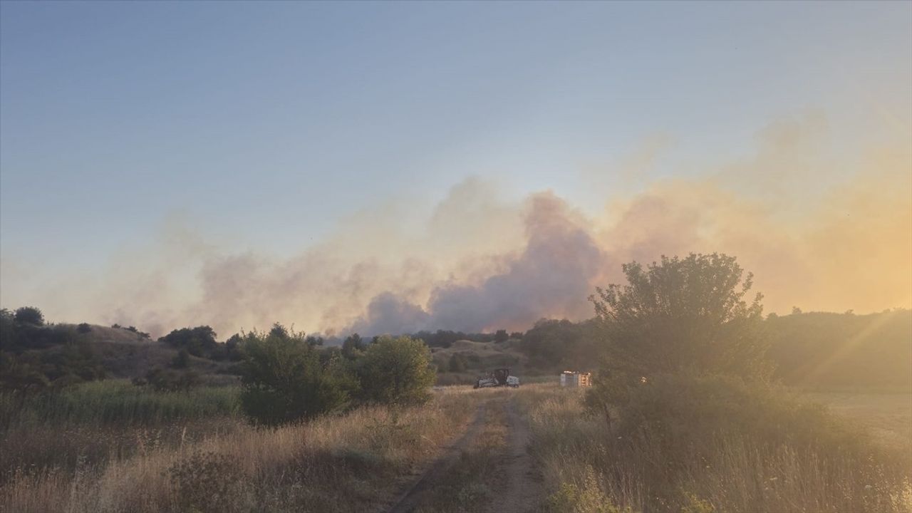 Tekirdağ'da Yangın: 20 Dekar Ağaçlık Alan Zarar Gördü