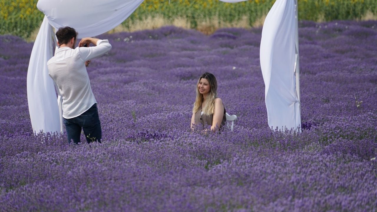 Tekirdağ'daki Lavanta Tarlaları, Turistlere Doğal Bir Stüdyo Deneyimi Sunuyor