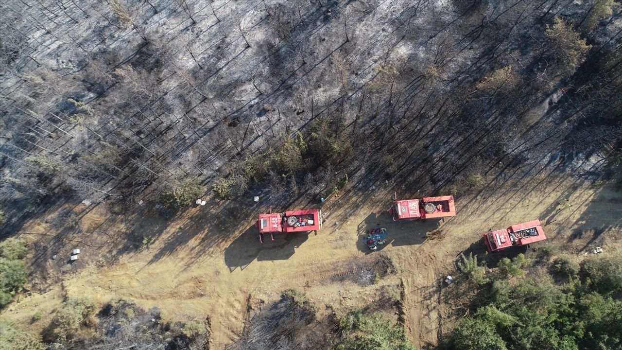 Tekirdağ'daki Orman Yangını, Çanakkale'de Hasara Neden Oldu
