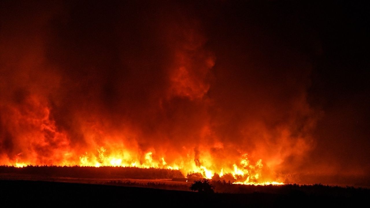 Tekirdağ'daki Orman Yangını Çanakkale'ye Sıçradı