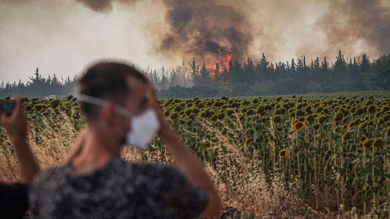 Tekirdağ'daki Orman Yangını Çanakkale'ye Ulaştı: Otoyol Yeniden Ulaşıma Açıldı