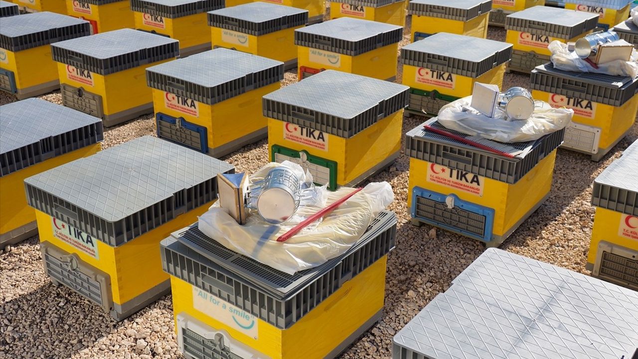 TİKA, Bosna Hersek'teki Arıcılara Destek Sağladı