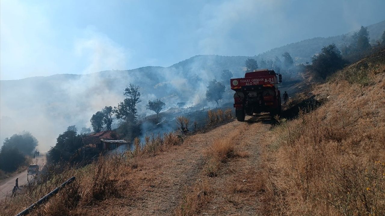 Tokat'ın Turhal İlçesinde 10 Dönümlük Arazi Yangını