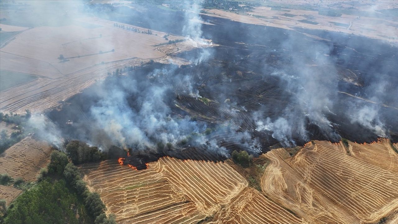 Tokat'ta Çıkan Yangında 250 Dekar Buğday Ekili Alan Zarar Gördü