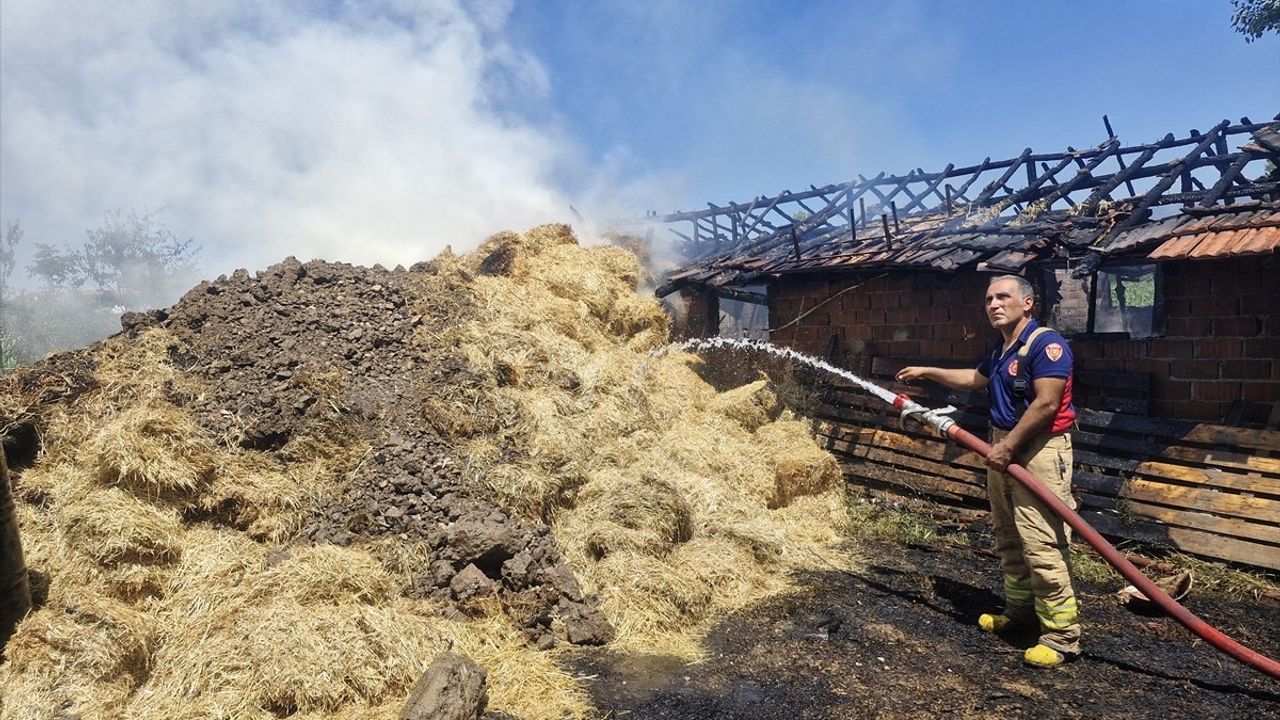 Tokat'ta Yangında 7 Büyükbaş Hayvan Hayatını Kaybetti