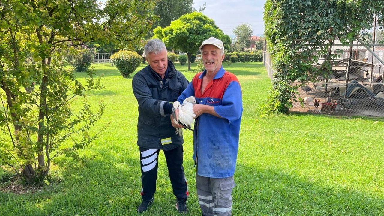 Tokat'ta Yaralı Leylek İtfaiye Ekipleri Tarafından Kurtarıldı