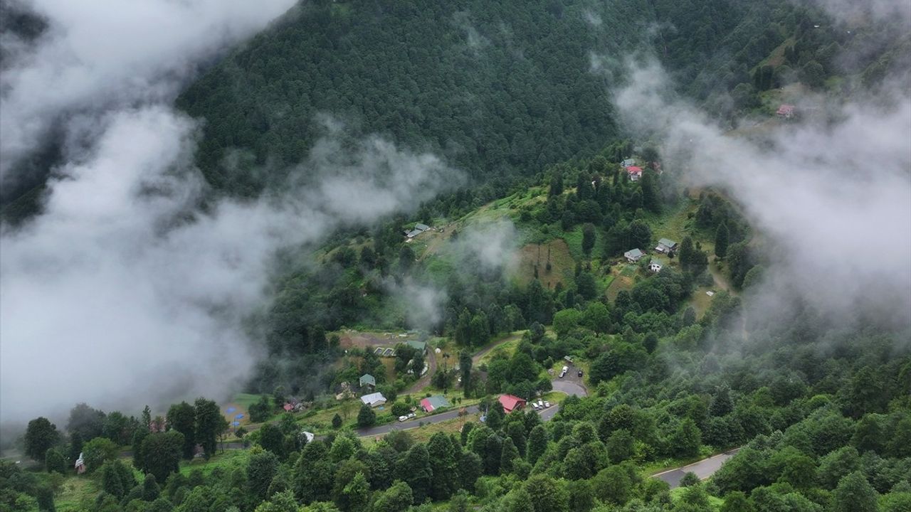 Trabzon'un Hıdırnebi Yaylası, Sisle Kaplı Doğasıyla Büyülüyor