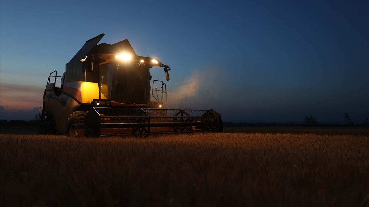 Trakya'da Aşırı Sıcaklar Nedeniyle Buğday Hasadı Gece Yapılıyor