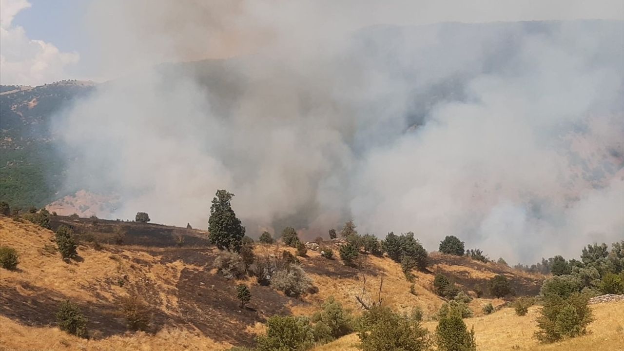 Tunceli Hozat'ta Ormanlık Alanda Yangın: Ekipler Müdahale Ediyor
