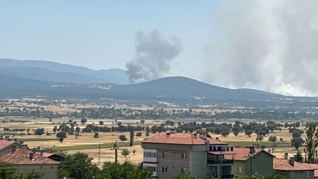 Uşak'ın Sivaslı İlçesinde Meşelik Alanda Yangın Söndürme Çalışmaları Sürüyor