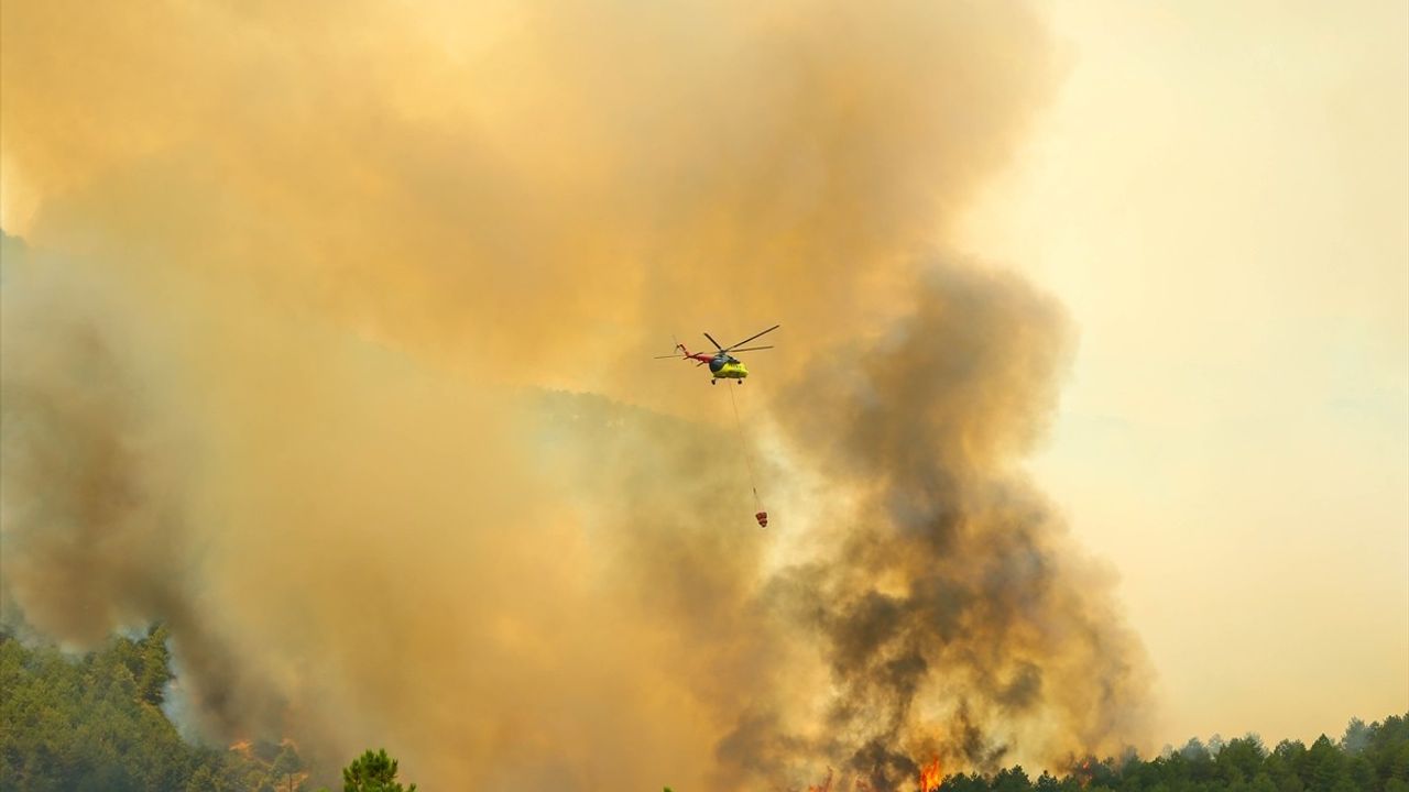 Uşak'ta Çıkan Orman Yangınına Hava ve Kara Müdahalesi