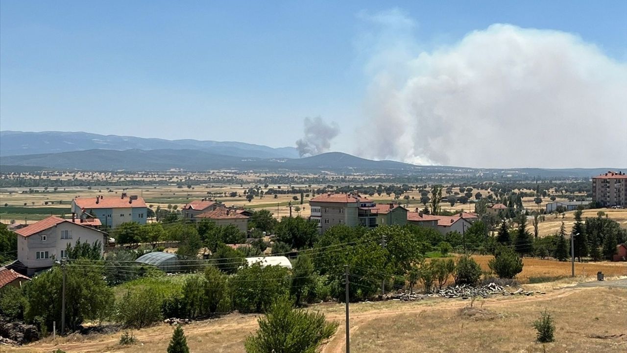 Uşak'ta Meşelik Alanda Yangın Kontrol Altına Alındı