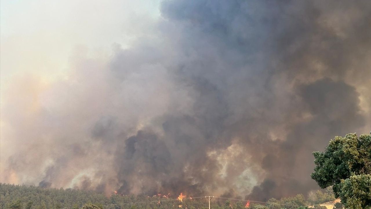 Uşak'ta Orman Yangını: Müdahale Devam Ediyor