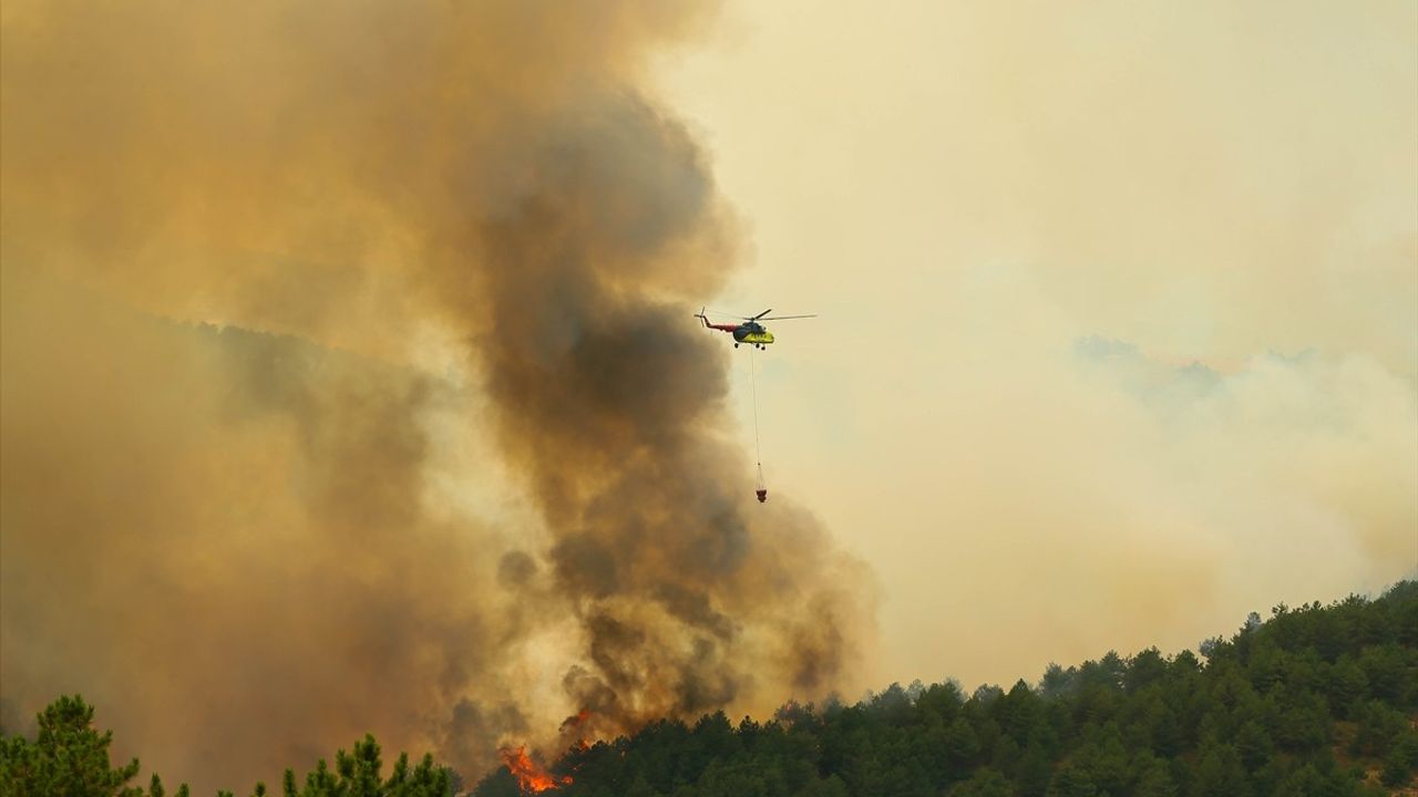 Uşak'ta Orman Yangınına Hızlı Müdahale